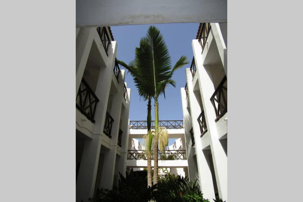 2 Bedrooms Playa Las Americas Parque Santiago I Heated Pool Playa de las Americas  Eksteriør bilde